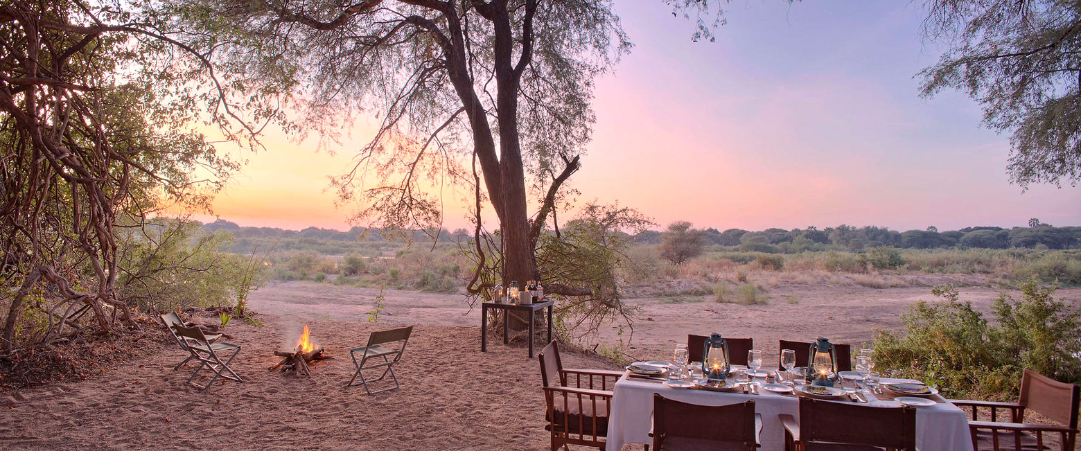 let us know your thoughts about Tanzania and we will help you create the perfect safari 