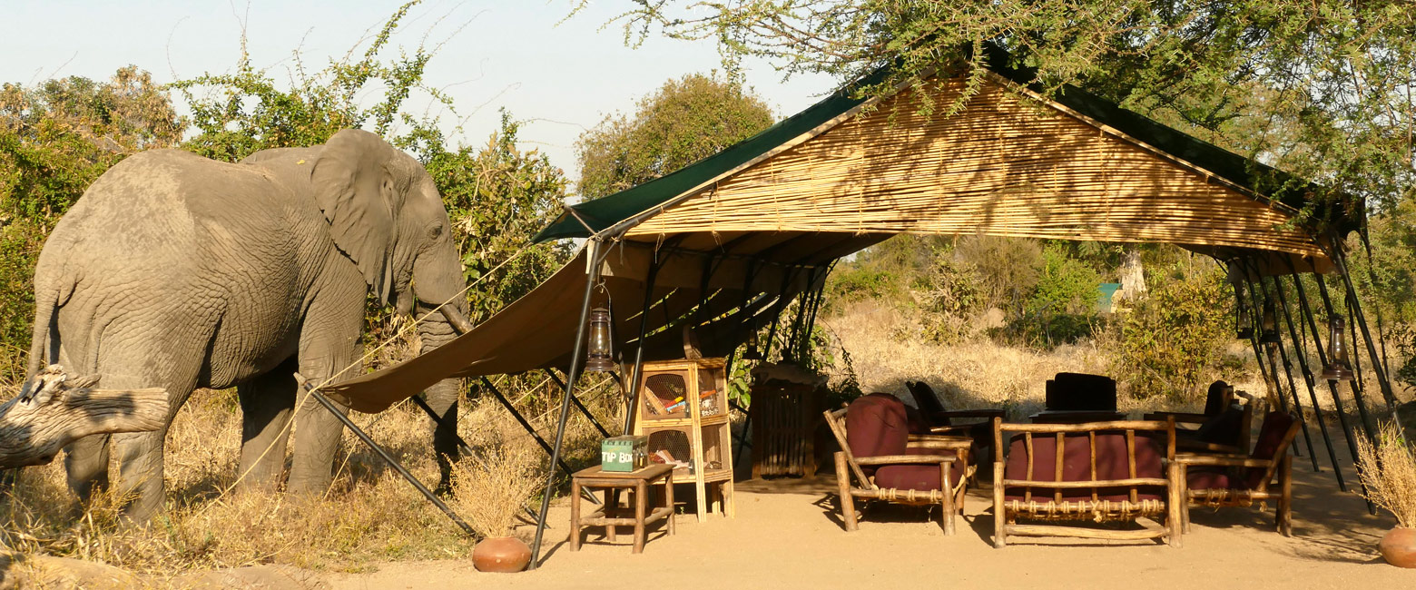 is a simple and well-priced outpost in the Ruaha area