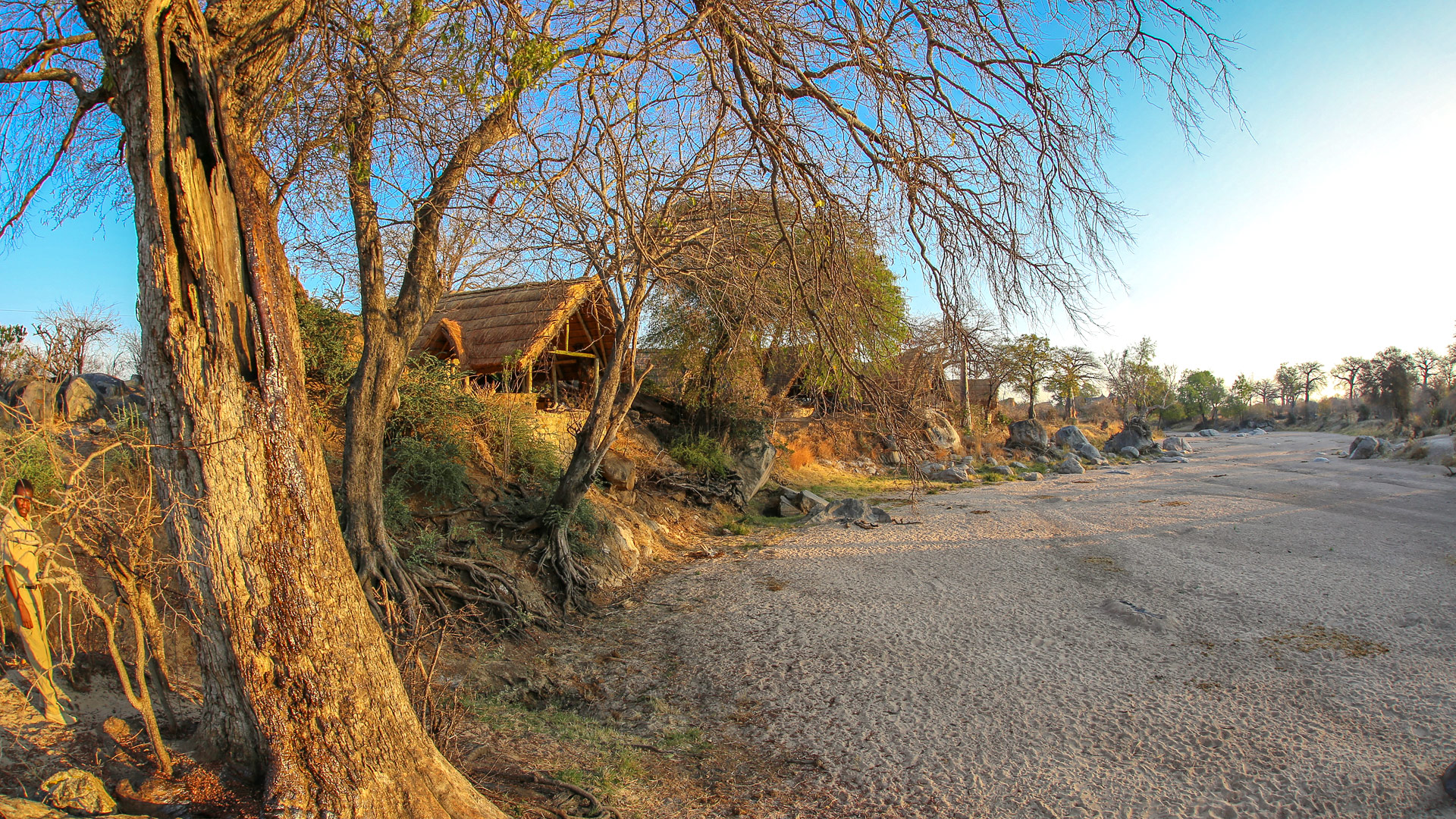 Mwagusi Camp