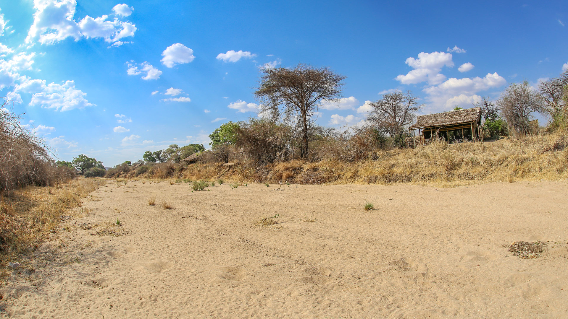 Nomad Kigelia Camp