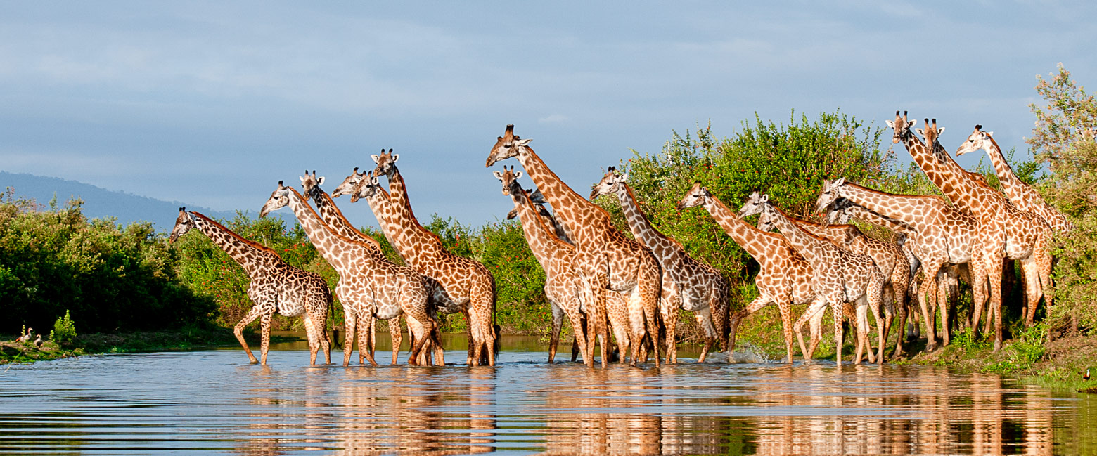 is an enormous and uniquely languid reserve 
