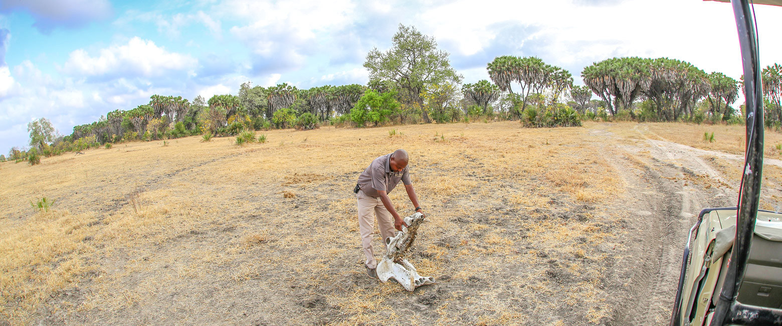 let us know your thoughts about Tanzania and we will help you create the perfect safari