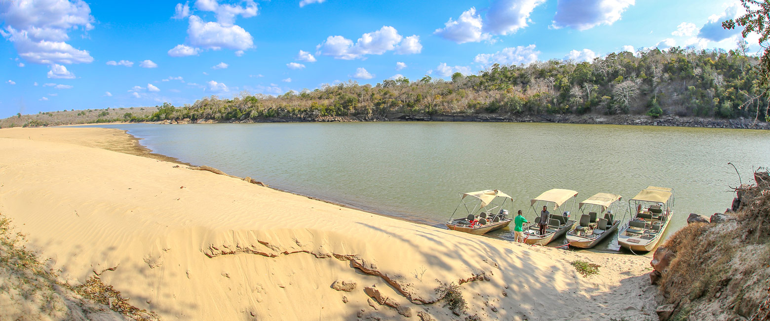 let us know your thoughts about Tanzania and we will make sure to deliver the perfect safari