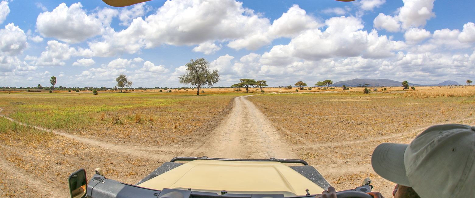let us know your thoughts about Tanzania and we will help you create the perfect safari