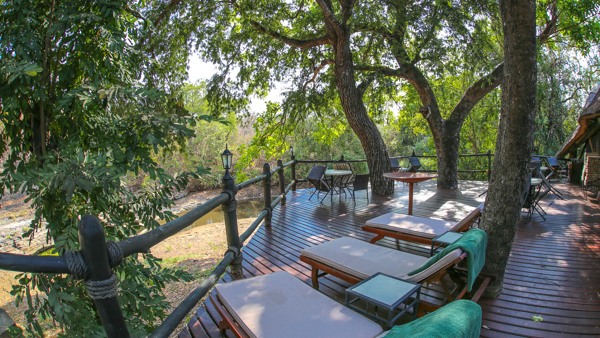 Selous Serena Camp