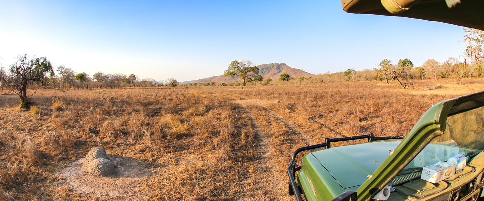 let us know your thoughts about Tanzania and we will make sure to deliver the perfect safari