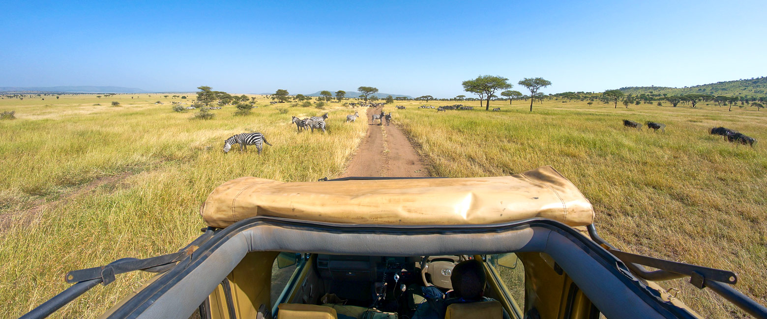 is the busy heart of the reserve, with strong wildlife year round