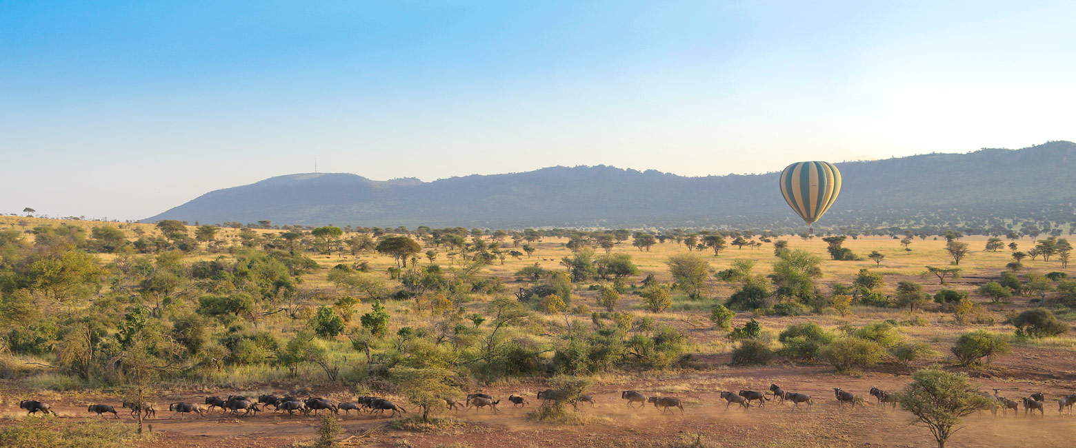 let us know your thoughts about Tanzania and we will help you create the perfect safari