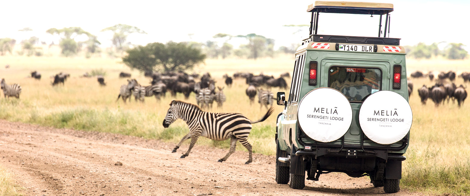 let us know your thoughts about Tanzania and we will help you create the perfect safari