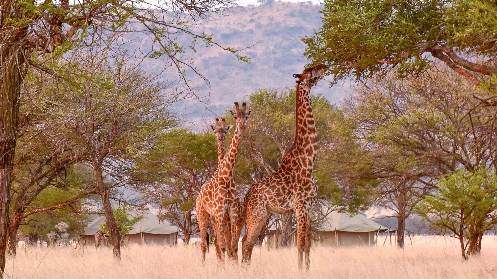 One Nature Nyaruswiga