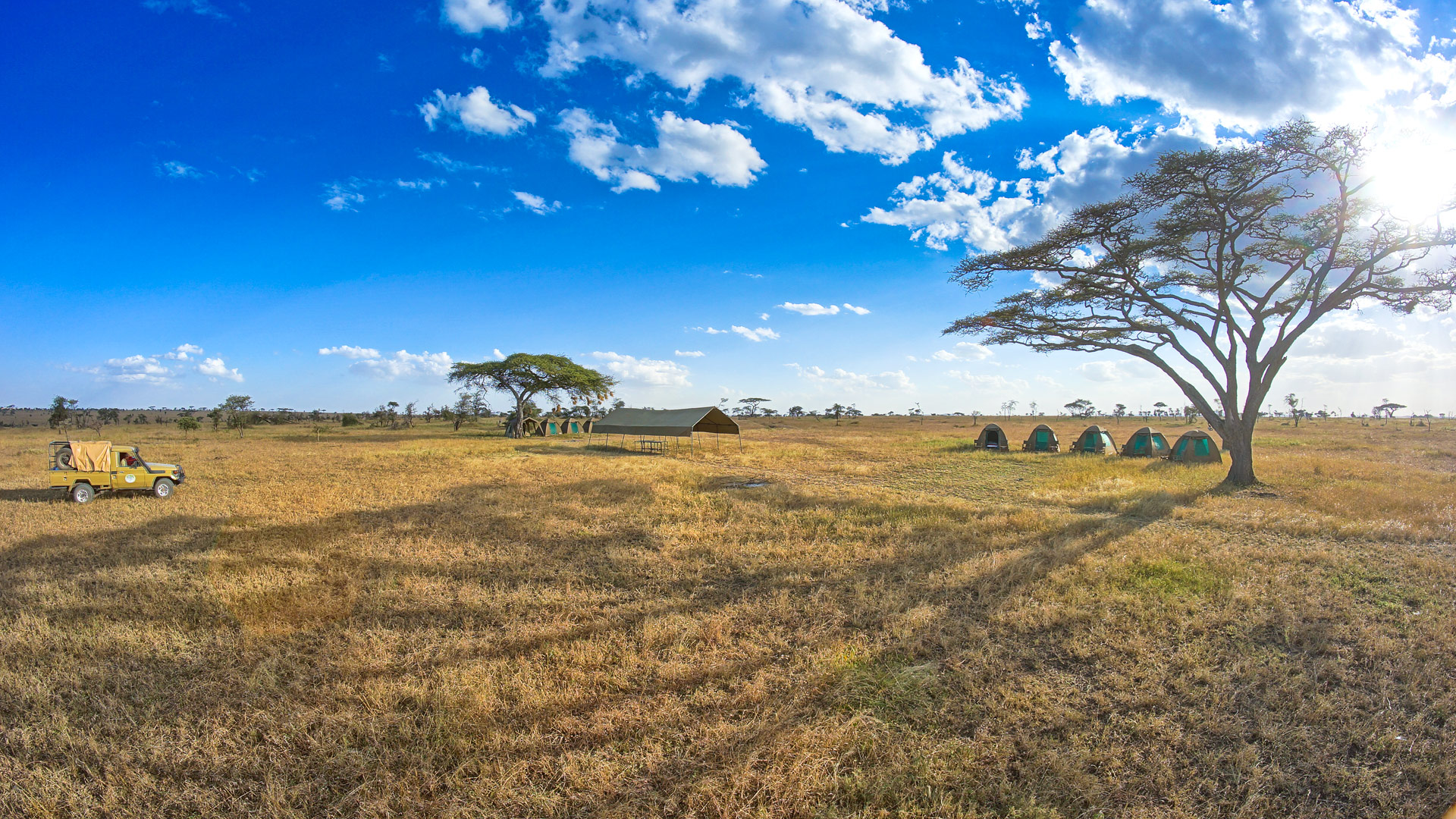 Ronjo Bivouac