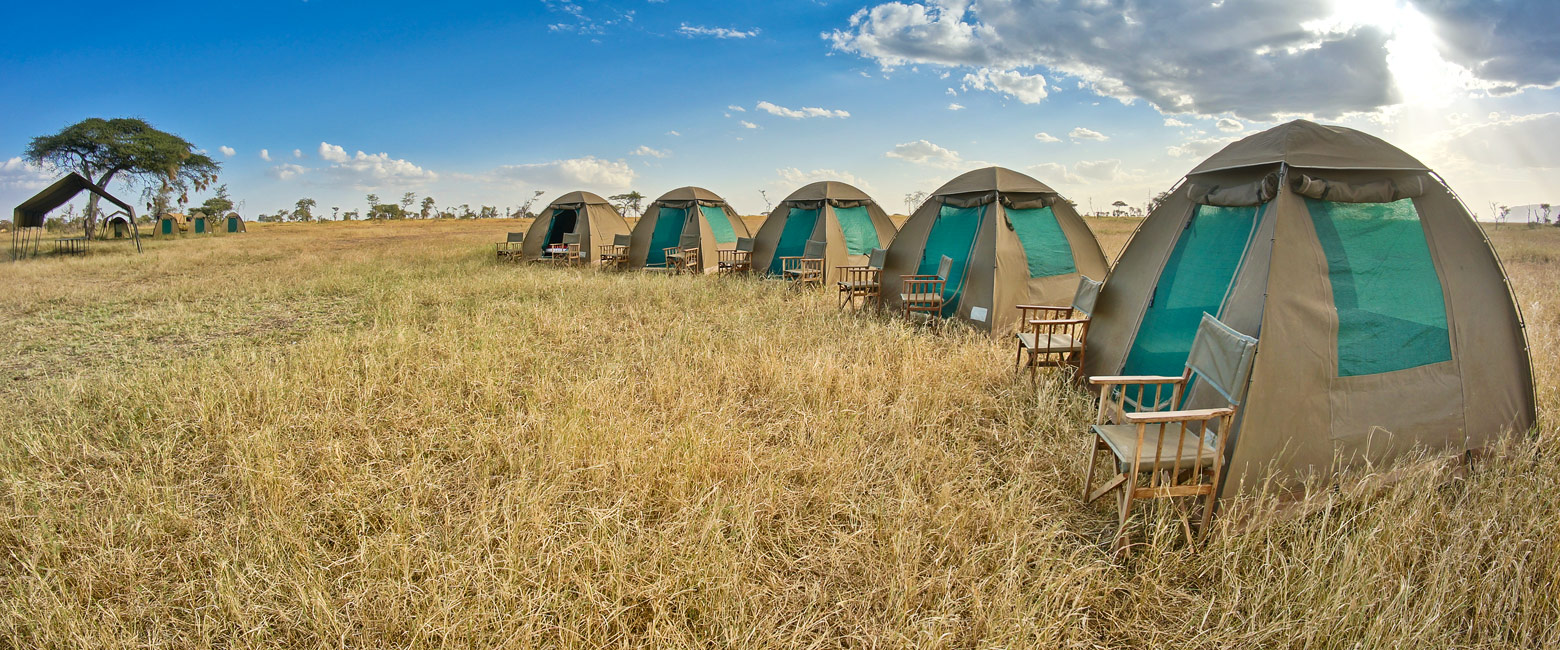 is an authentic private mobile in the Serengeti Central area