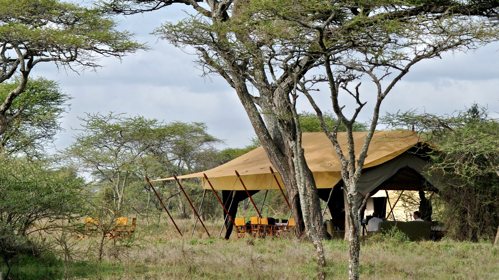 Serengeti Under Canvas Central