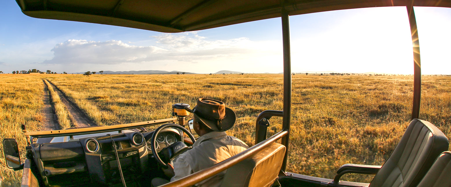 let us know your thoughts about Tanzania and we will help you create the perfect safari