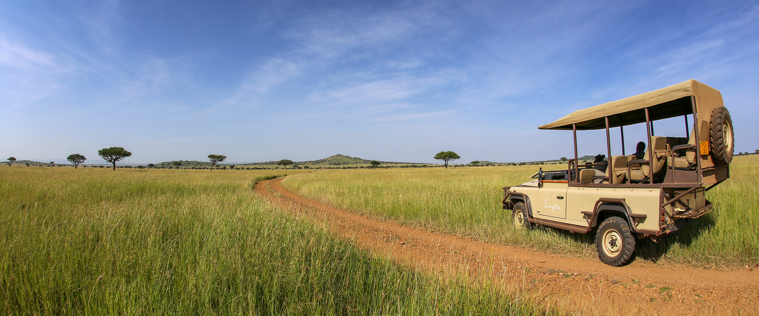 let us know your thoughts about Tanzania and we will help you create the perfect safari 