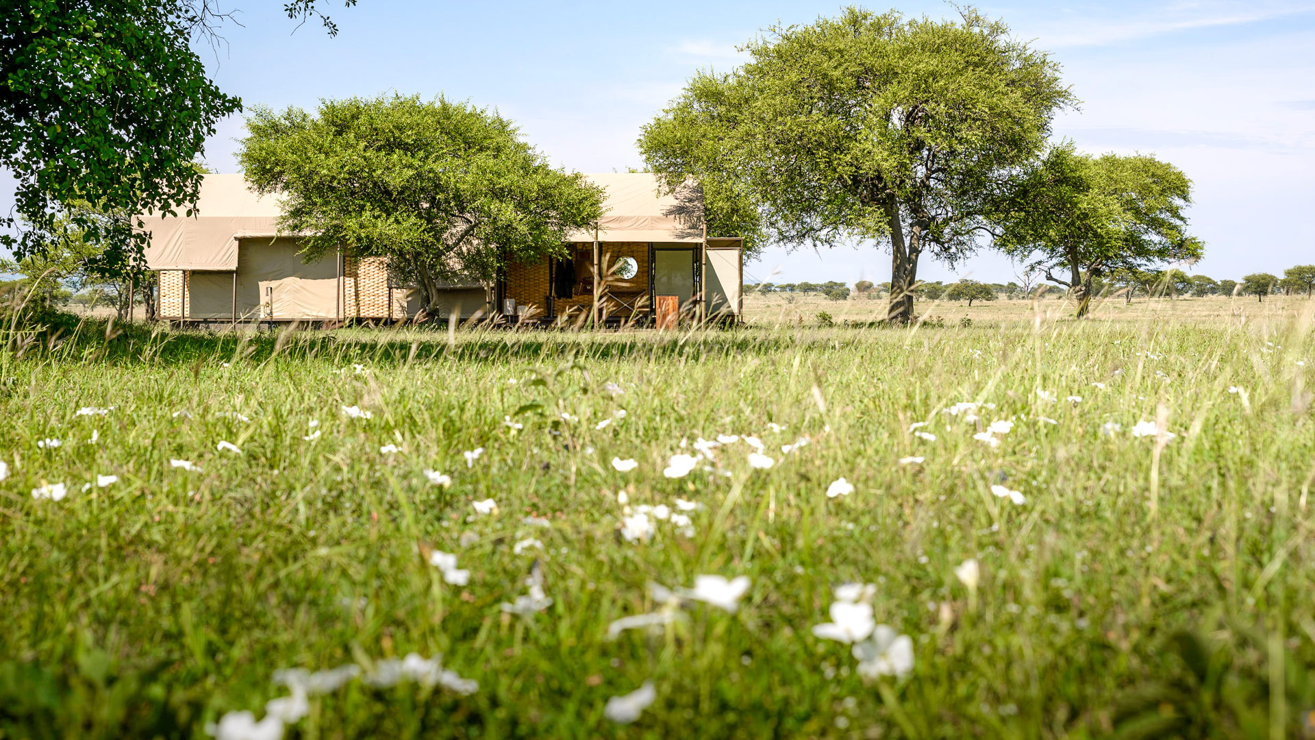 Singita Sabora Camp