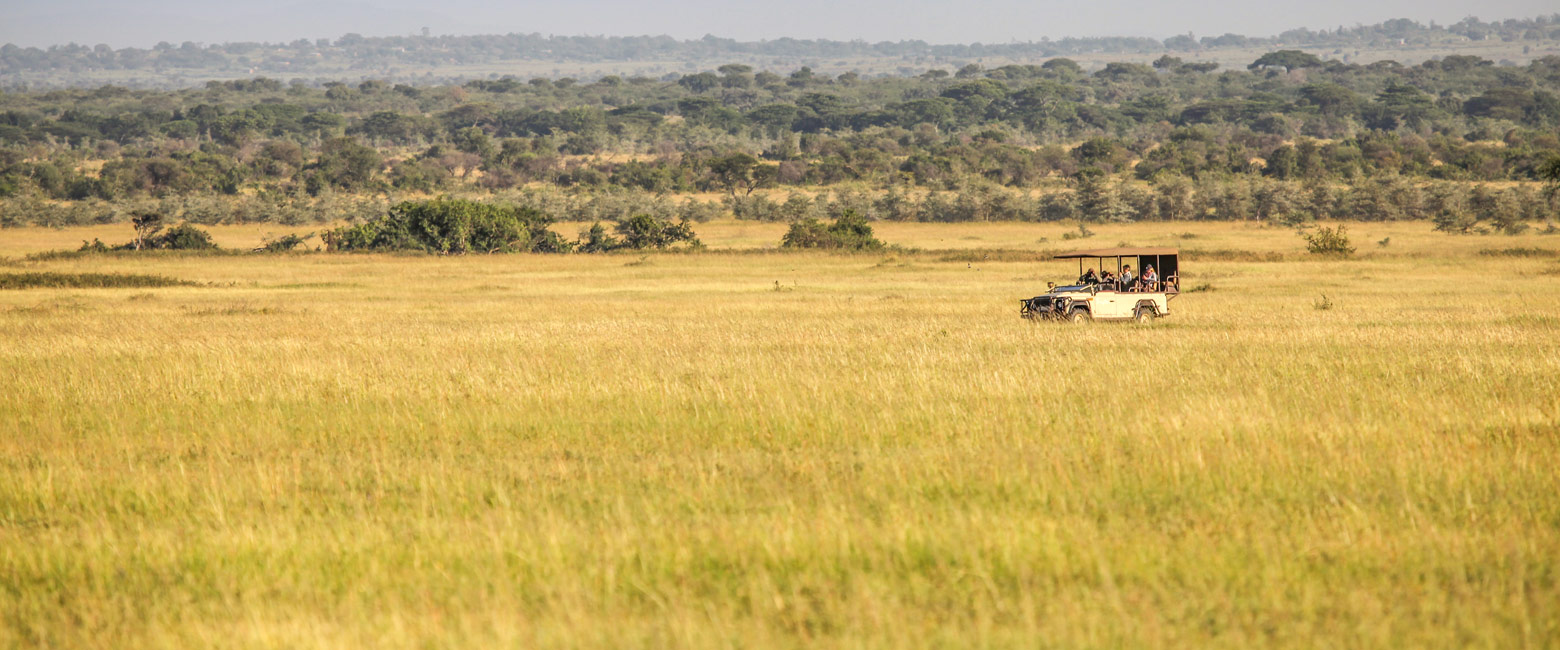 let us know your thoughts about Tanzania and we will help you create the perfect safari