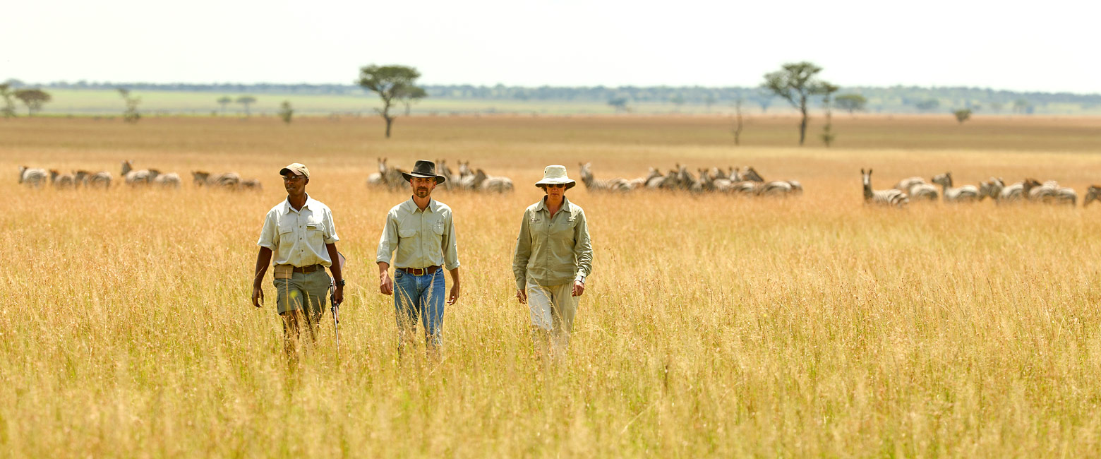 let us know your thoughts about Tanzania and we will help you create the perfect safari 