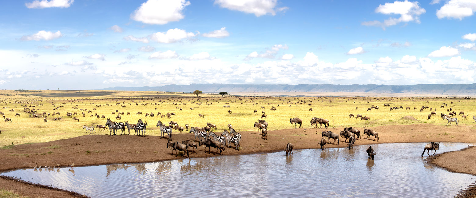 let us know your thoughts about Tanzania and we will help you create the perfect safari