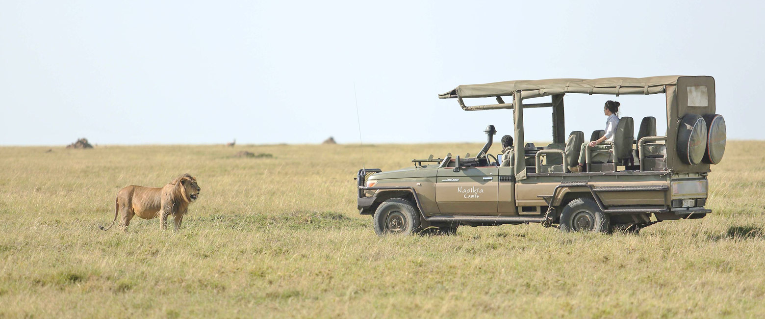 let us know your thoughts about Tanzania and we will help you create the perfect safari