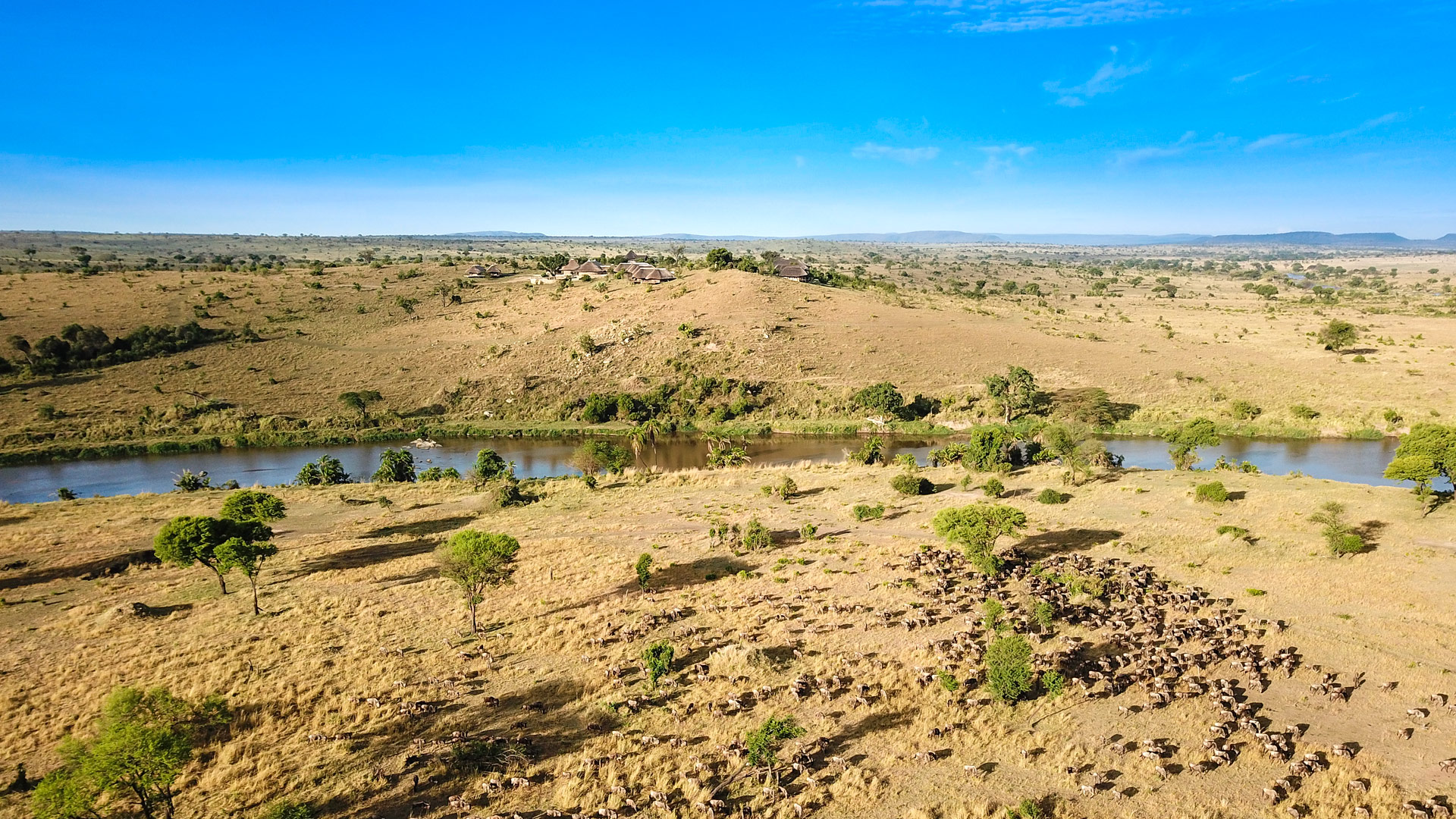 Mara River Post