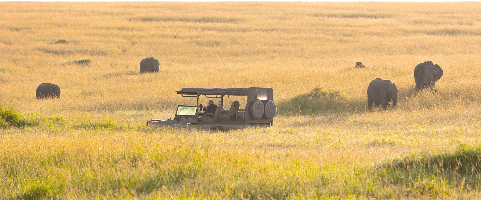 let us know your thoughts about Tanzania and we will help you create the perfect safari 