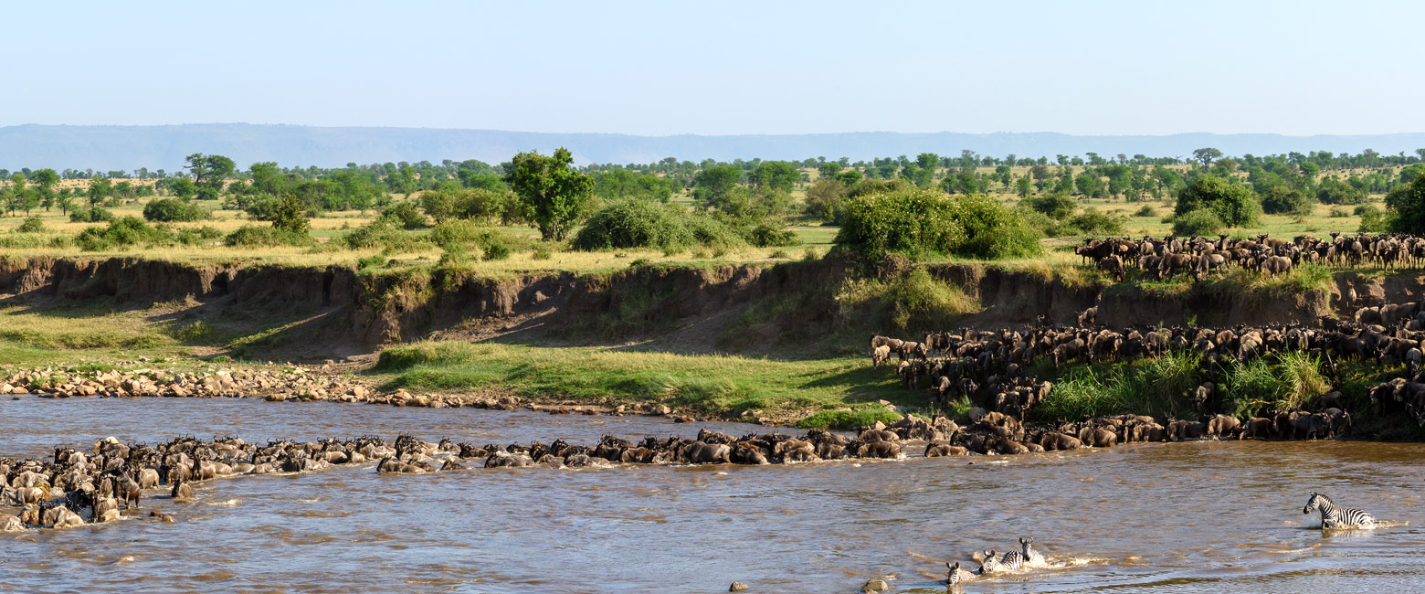 let us know your thoughts about Tanzania and we will help you create the perfect safari 