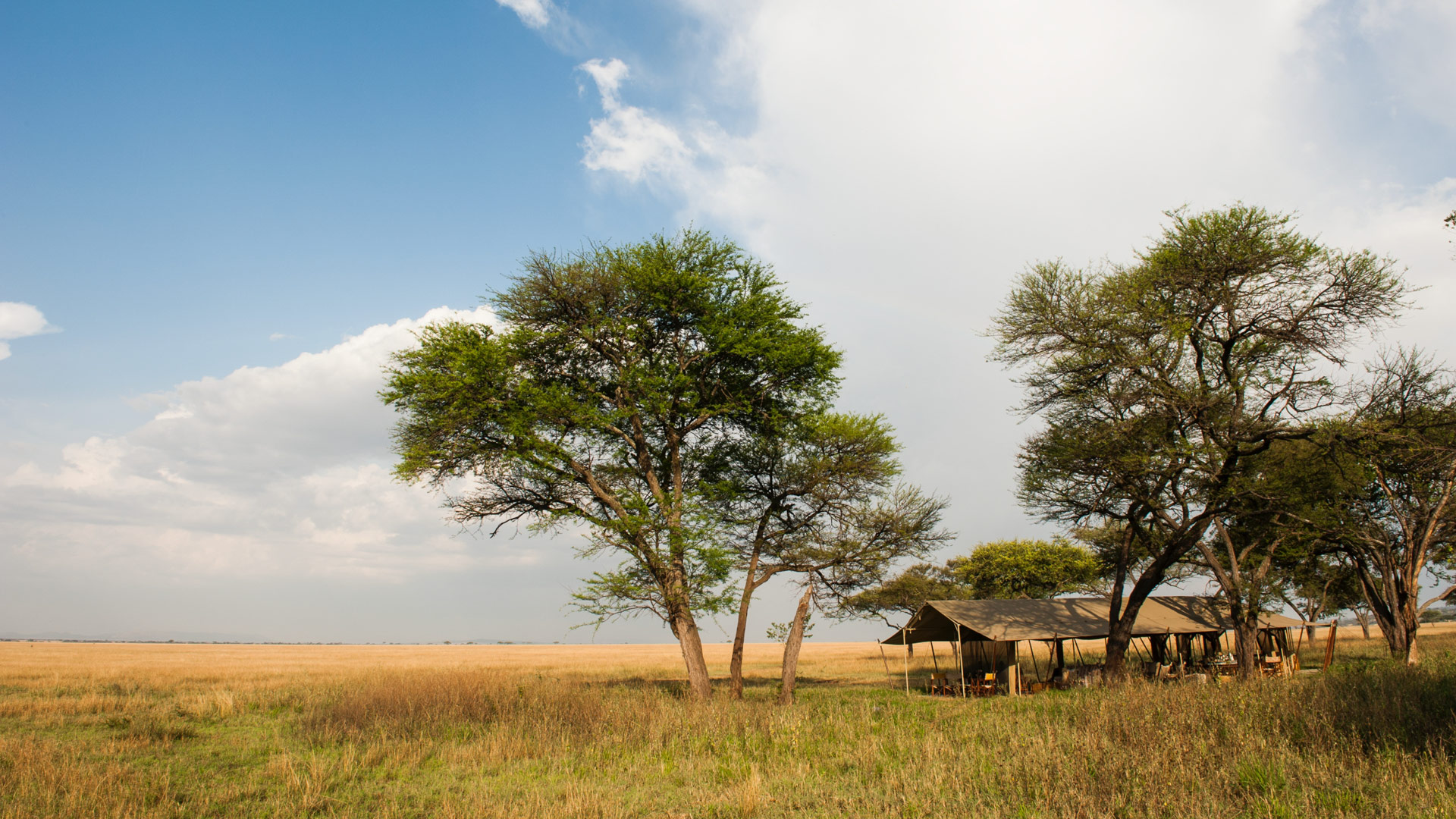 Nomad Wogakuria Mobile Camp