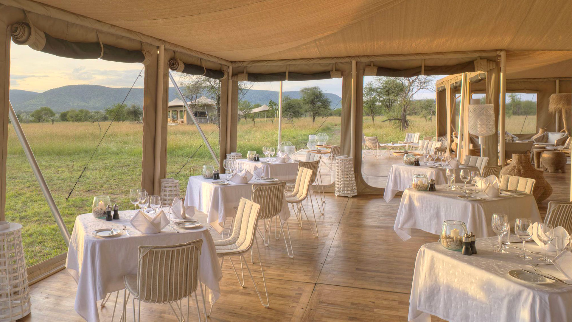 Roving Bushtops North