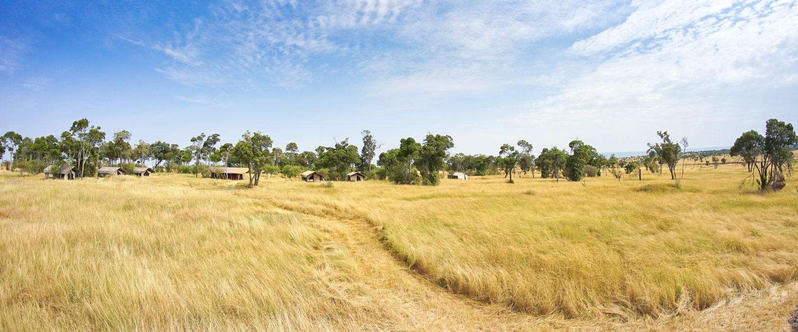 is a medium specification mobile in the Serengeti Mara area 