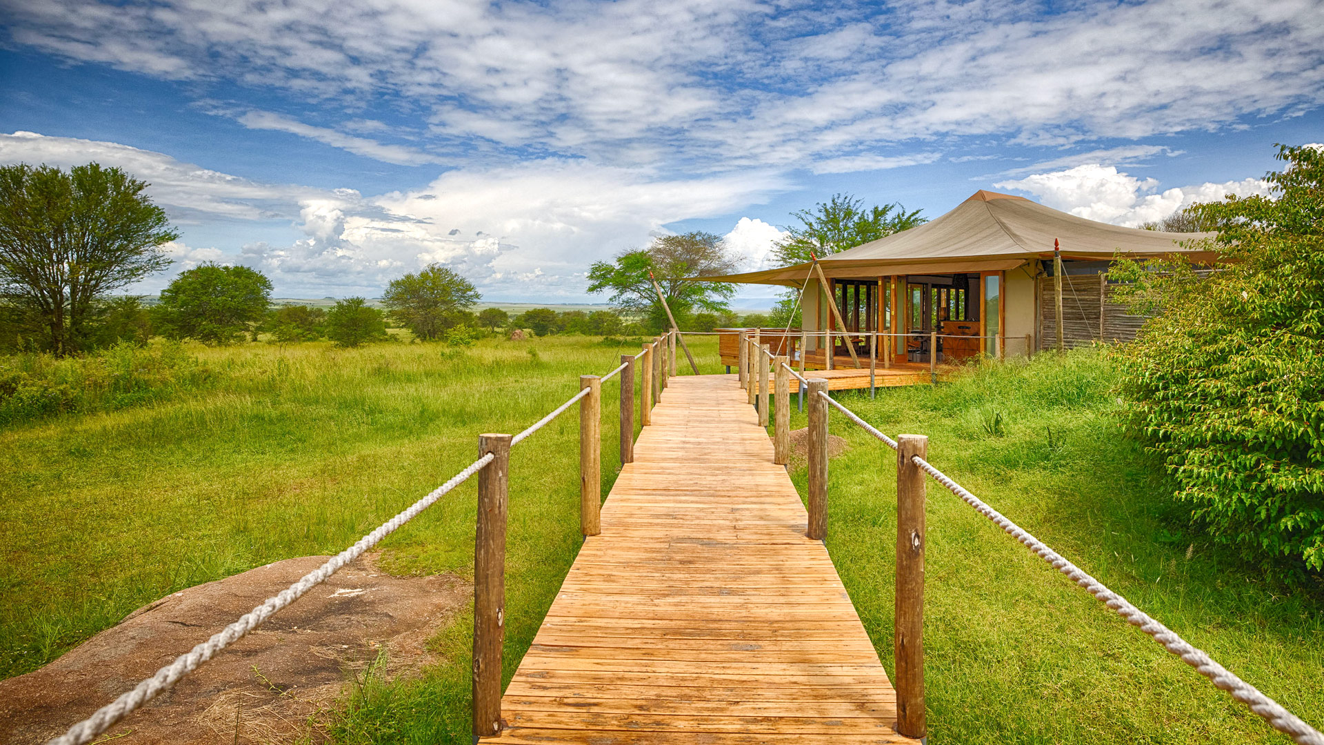 Sayari Mara Camp
