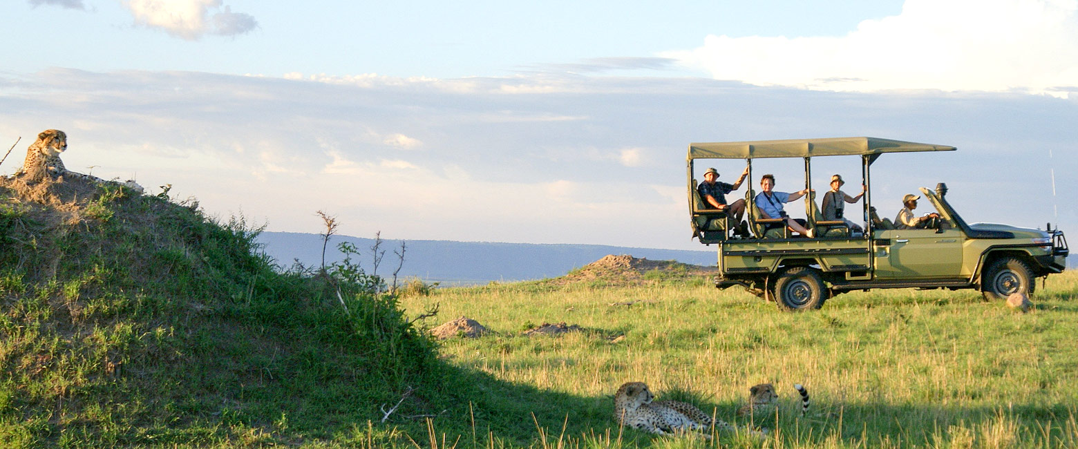 let us know your thoughts about Tanzania and we will help you create the perfect safari