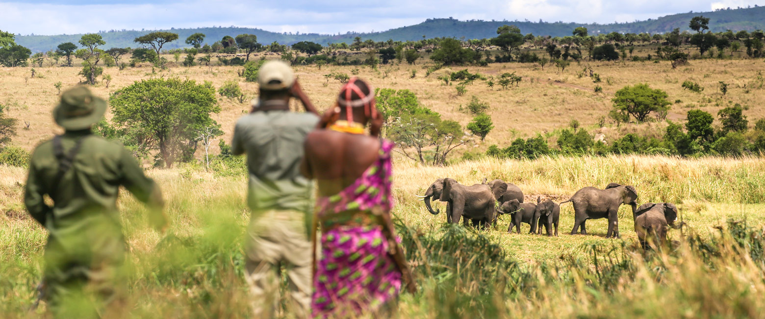 let us know your thoughts about Tanzania and we will help you create the perfect safari 