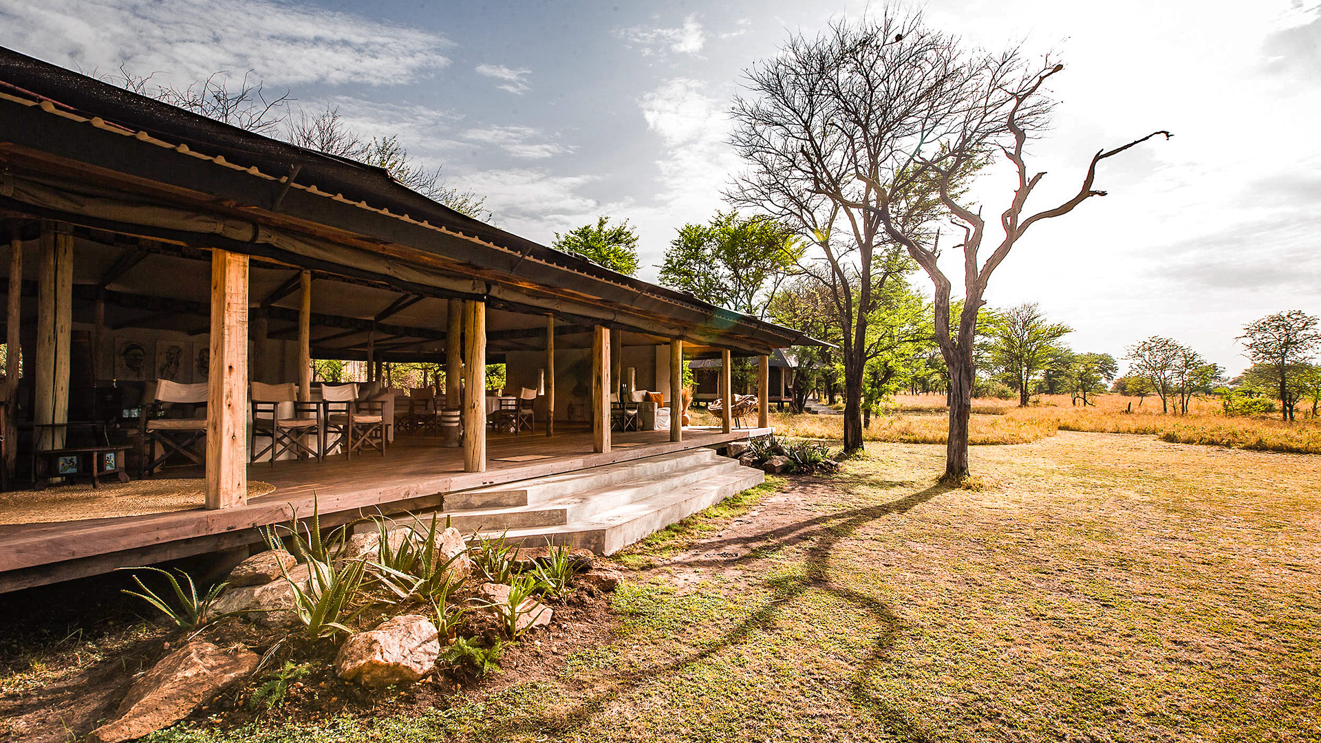Serian Serengeti Lamai