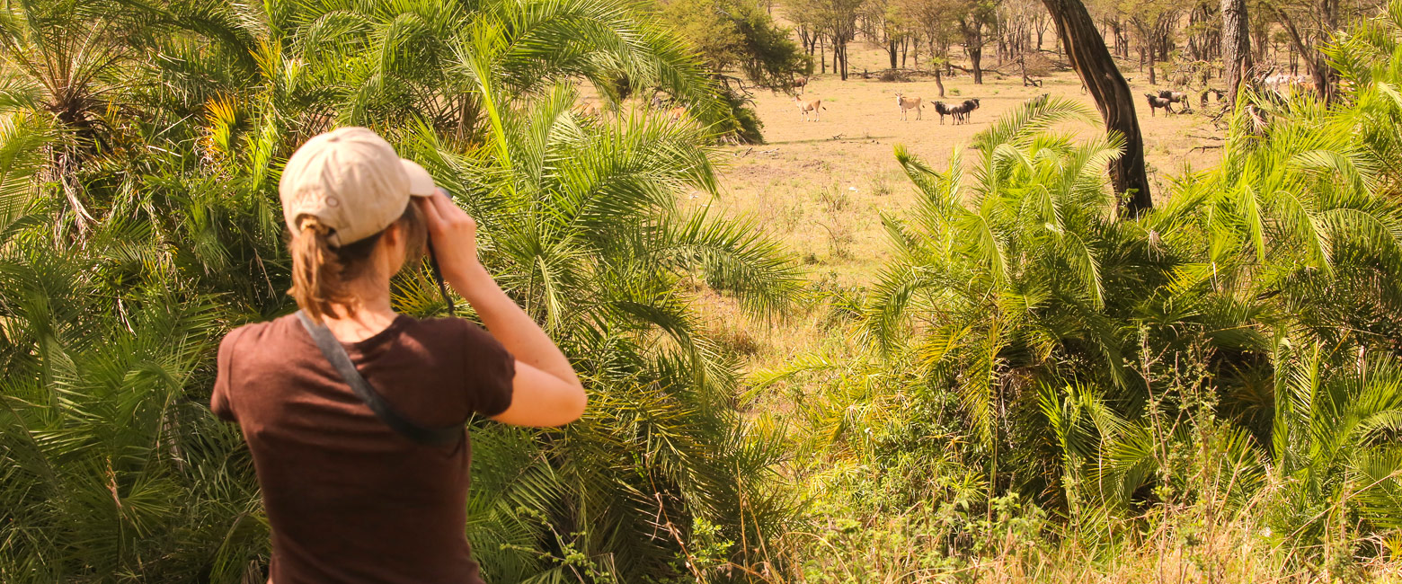 let us know your thoughts about Tanzania and we will help you create the perfect safari 