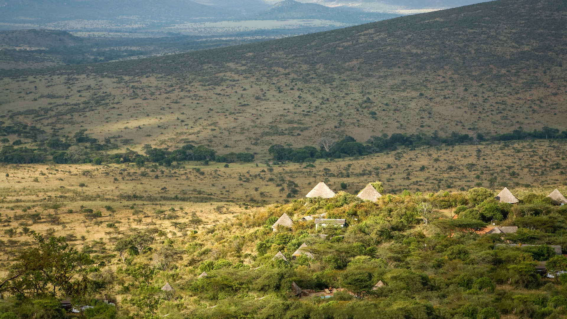 Safari to Serengeti North