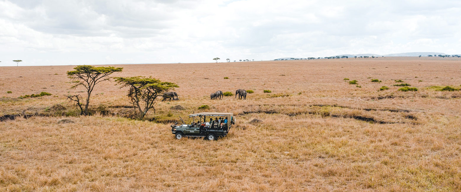let us know your thoughts about Tanzania and we will help you create the perfect safari