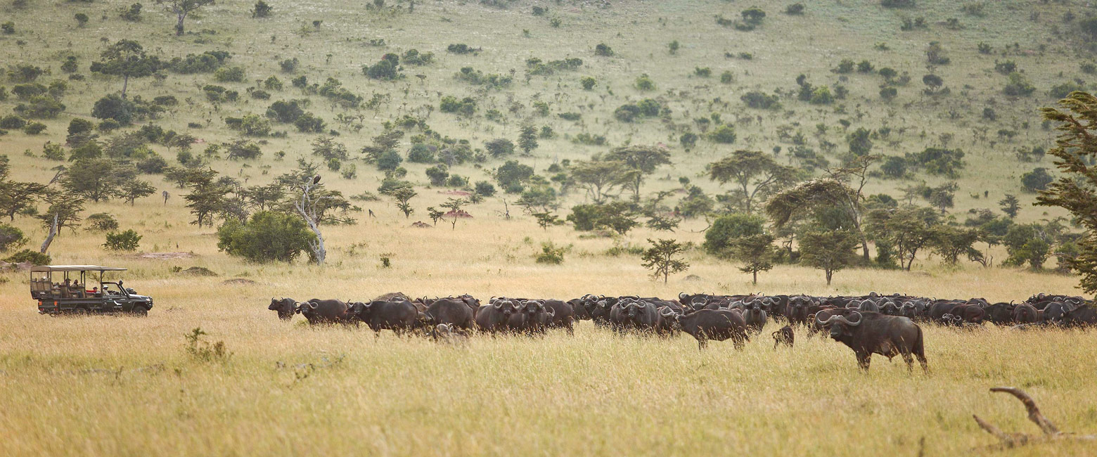 let us know your thoughts about Tanzania and we will help you create the perfect safari