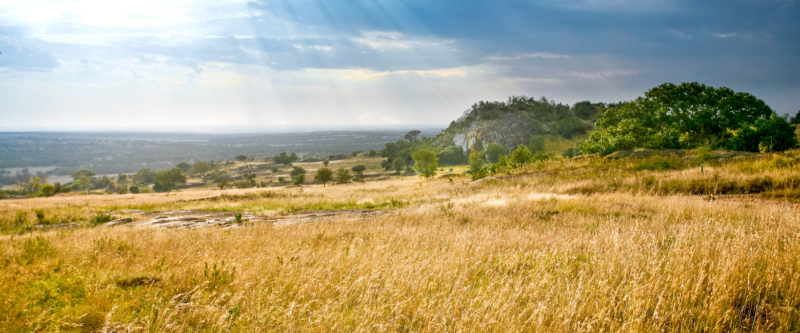 let us know your thoughts about Tanzania and we will help you create the perfect safari