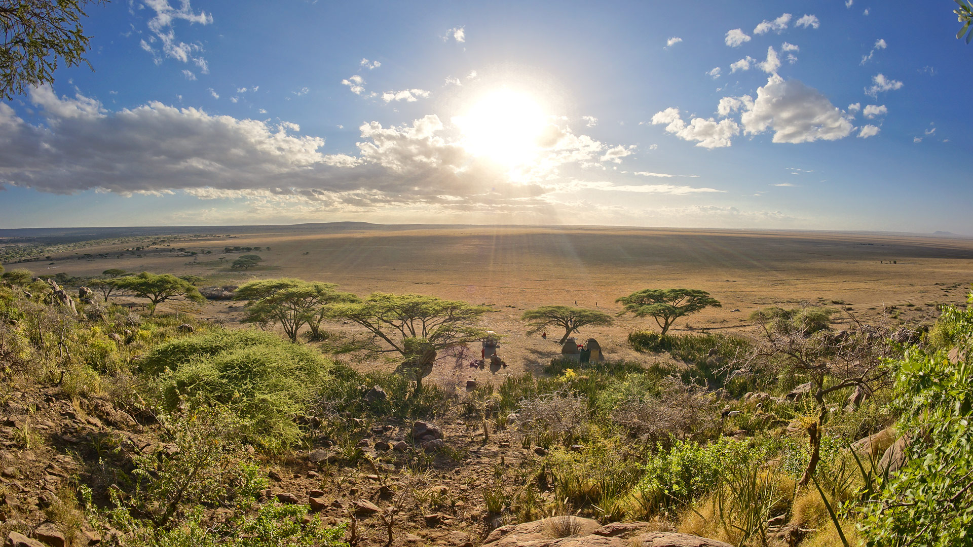 Safari to Serengeti Southeast