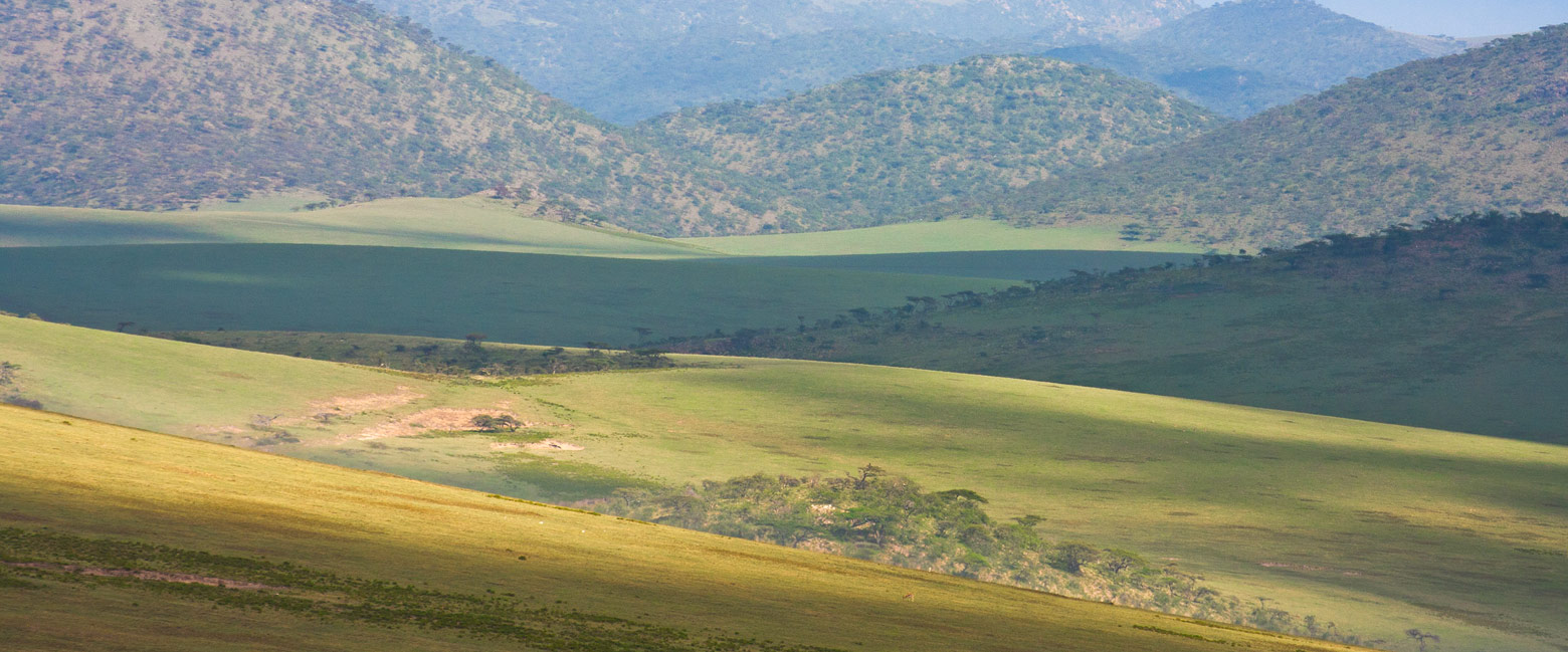 is a fabulous remote experience in the Serengeti Southeast area