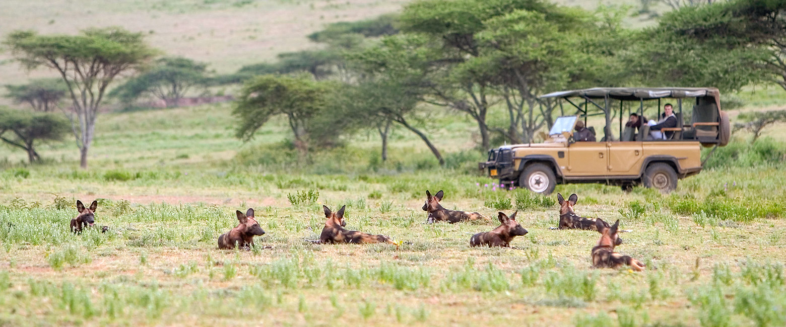 let us know your thoughts about Tanzania and we will help you create the perfect safari