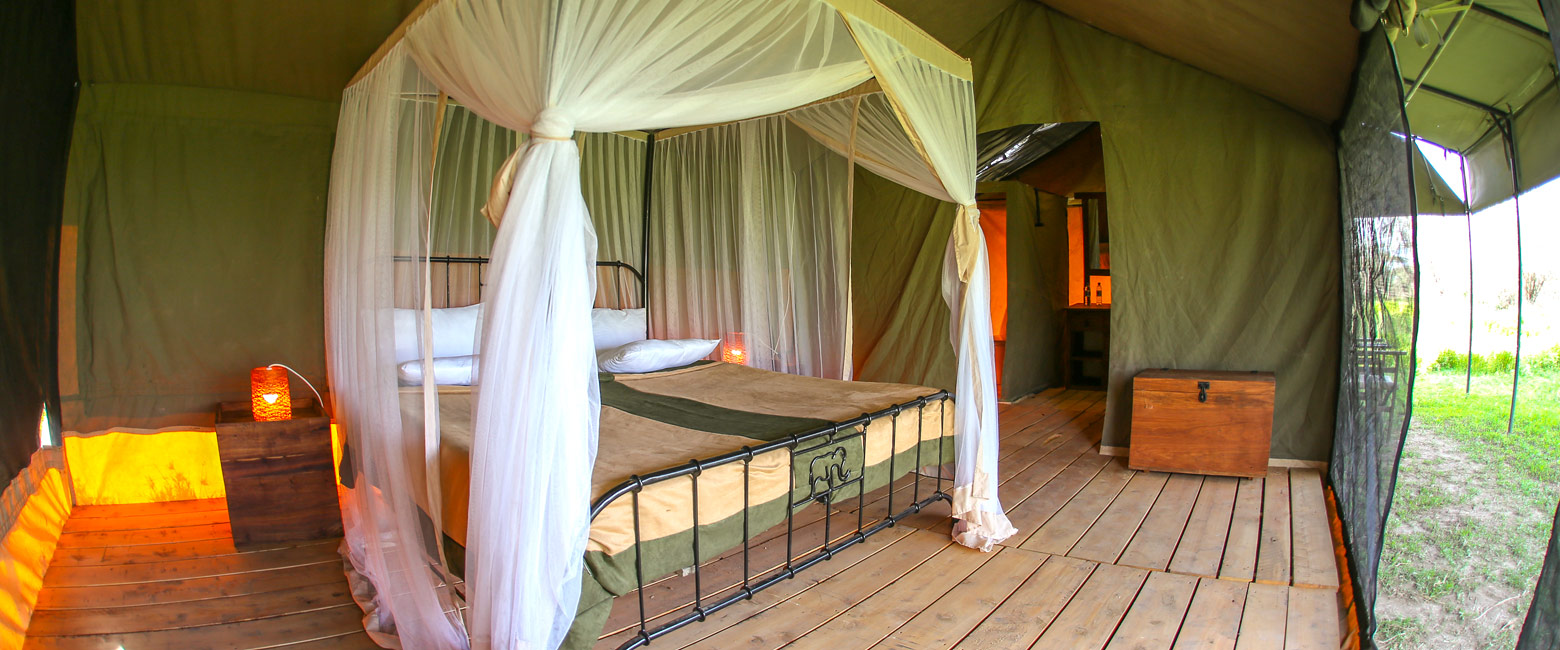 is a very well-priced camp in the Serengeti Southwest area