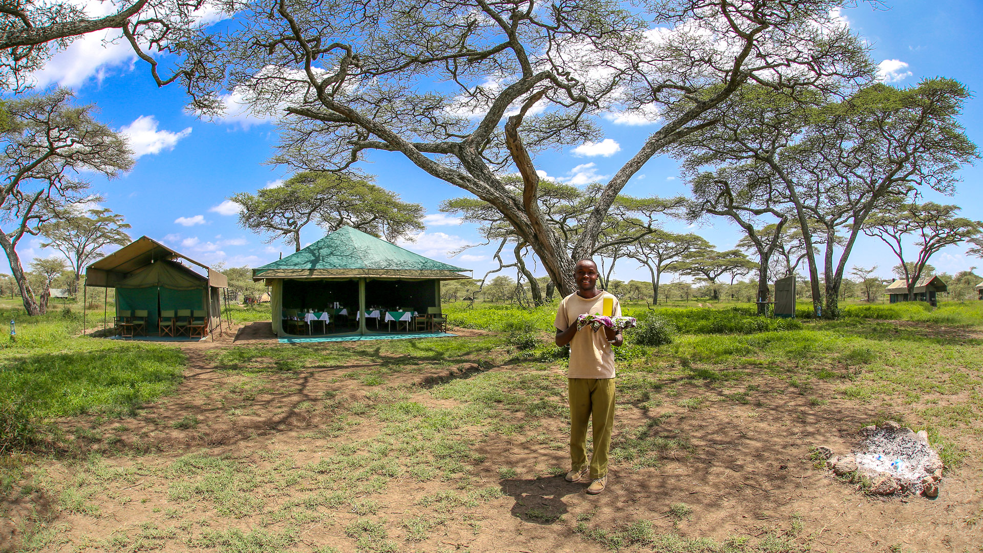 Halisi Serengeti Camp