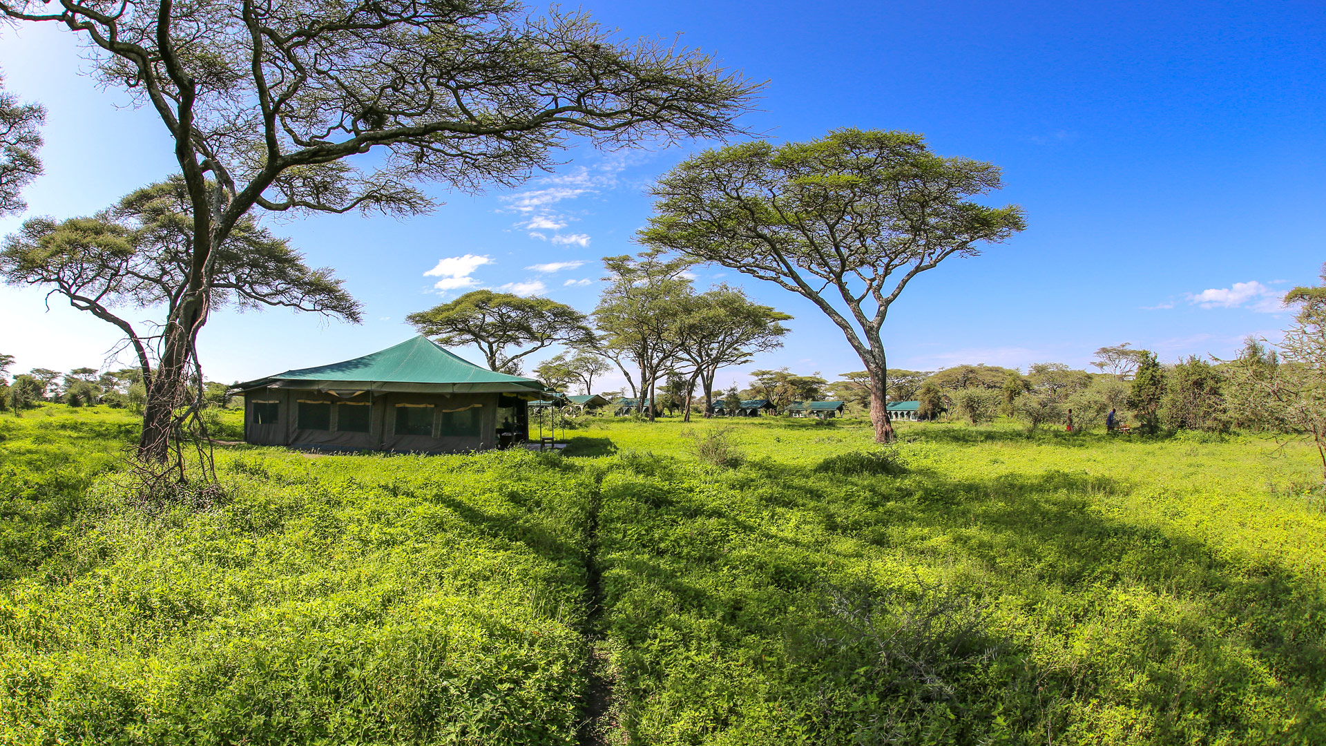 Kirurumu Serengeti South