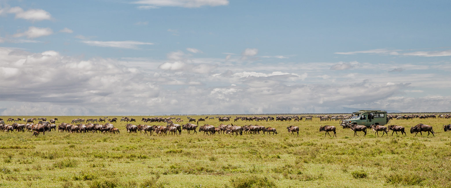 let us know your thoughts about Tanzania and we will help you create the perfect safari