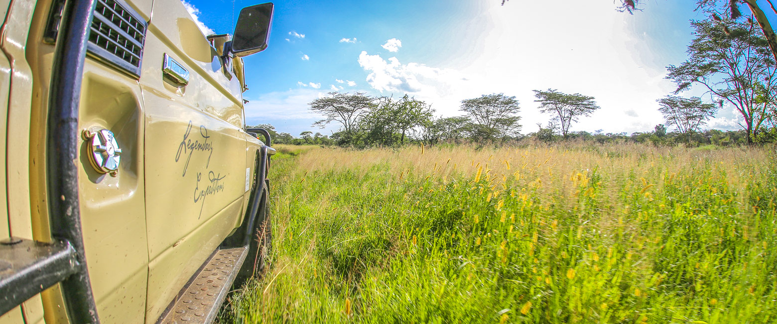 let us know your thoughts about Tanzania and we will help you create the perfect safari