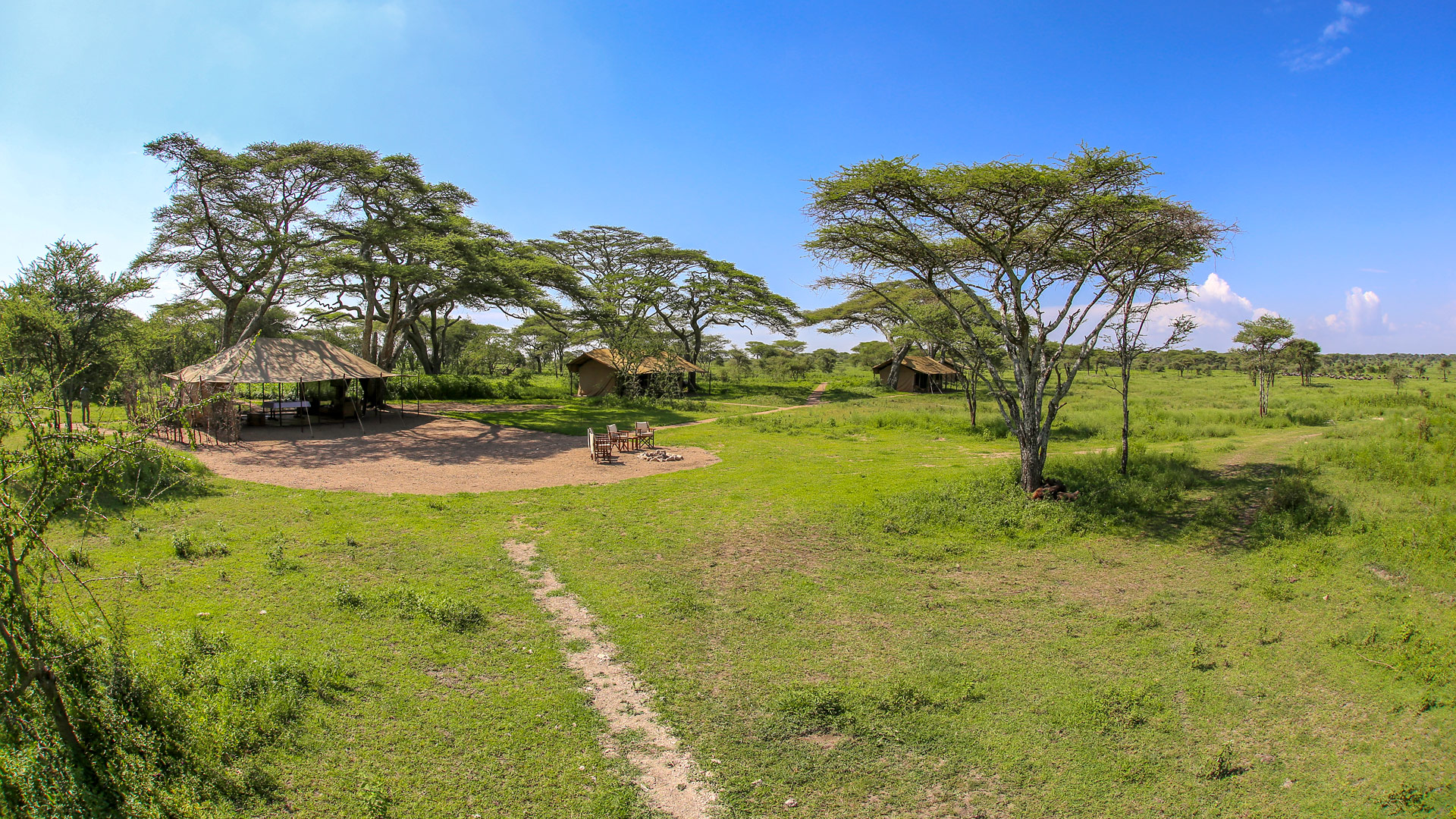 Legendary Serengeti Kimali