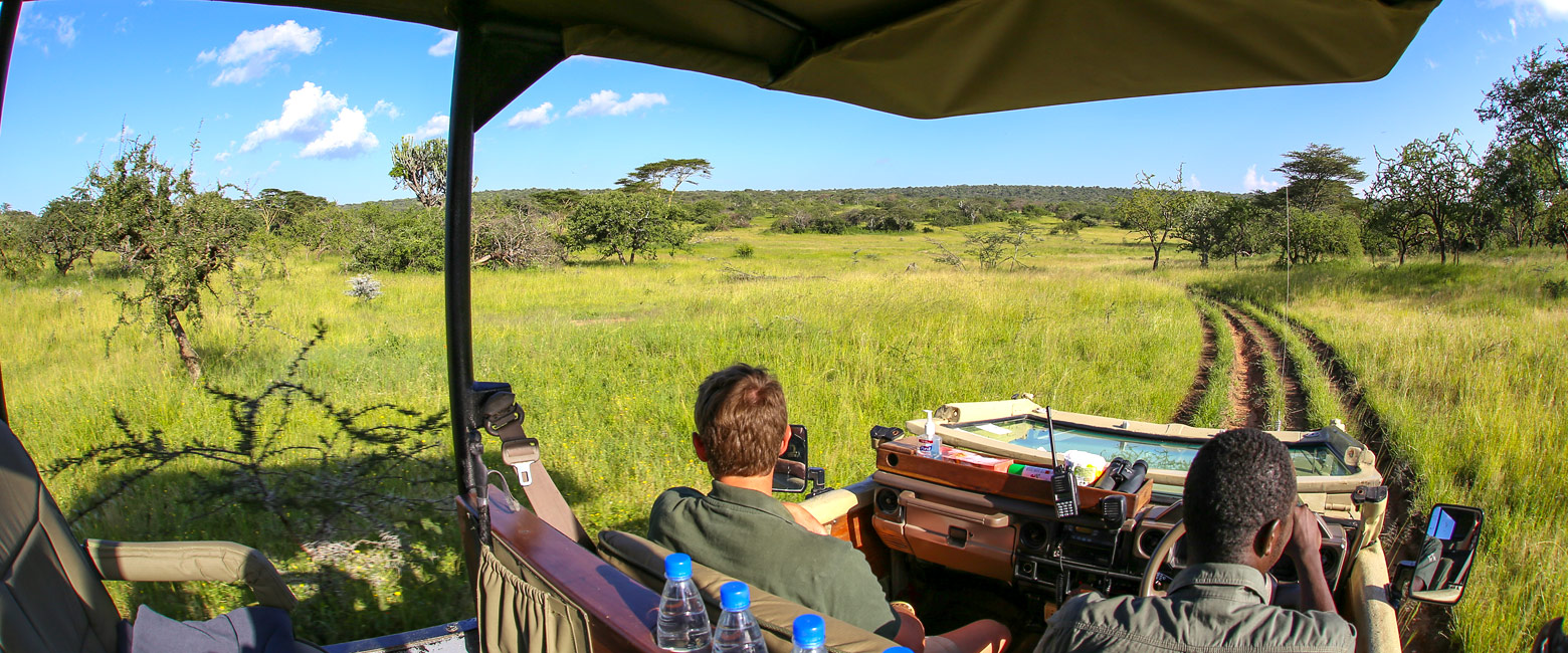 let us know your thoughts about Tanzania and we will help you create the perfect safari