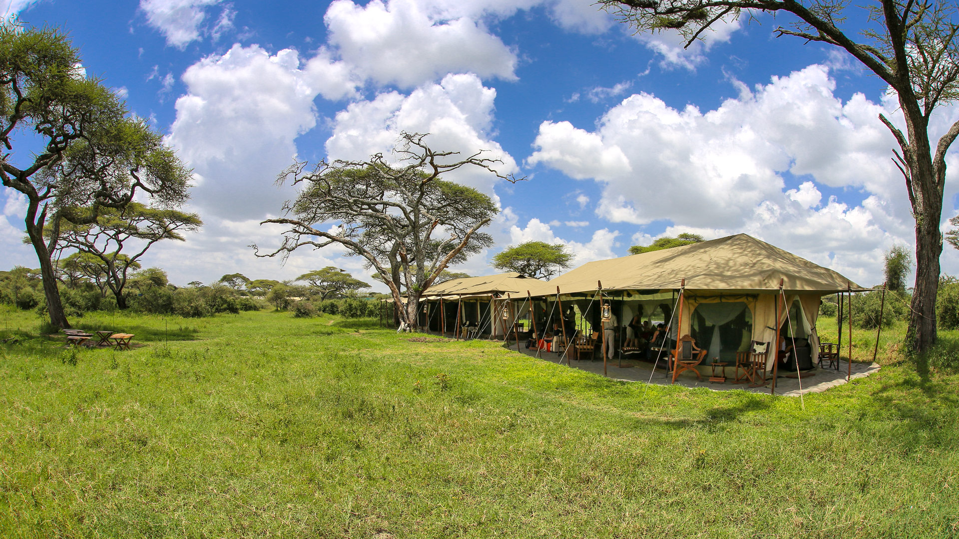 Lemala Ndutu Camp